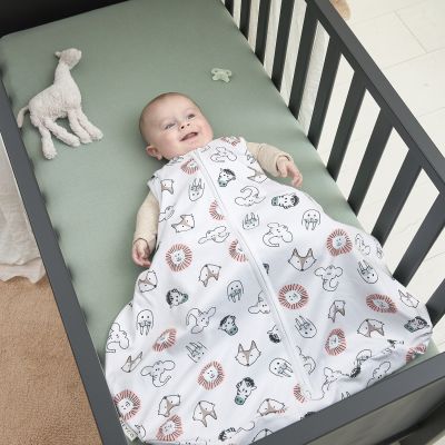 Meyco Baby Slaapzak Heupdysplasie Animal Multicolour 70 cm