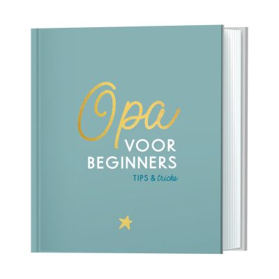 Lantaarn Opa Voor Beginners