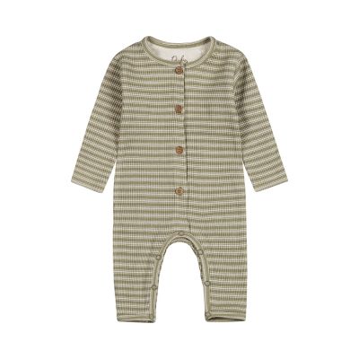 Dirkje Boxpak Light Faded Green 56